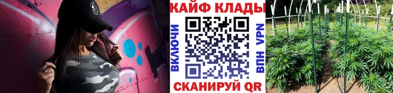 Где купить наркоту Купино Cocaine  Бошки Шишки  АМФЕТАМИН  БУТИРАТ  Мефедрон  Альфа ПВП  ГАШИШ 