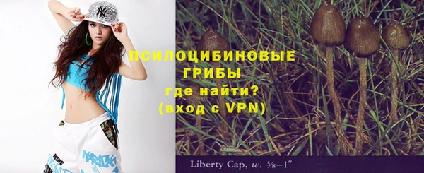 гидропоника Осинники