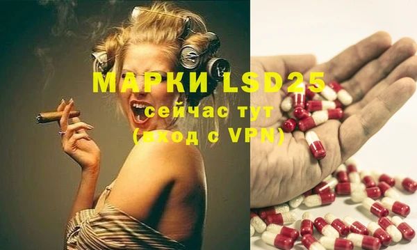 ПСИЛОЦИБИНОВЫЕ ГРИБЫ Кукмор