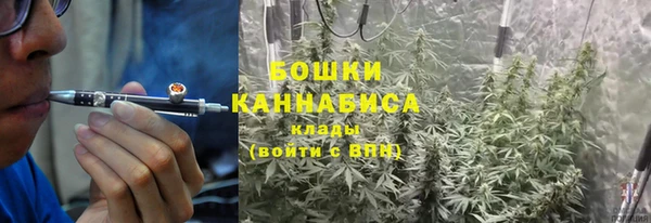 гидропоника Осинники