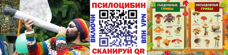 Псилоцибиновые грибы GOLDEN TEACHER  Купино 